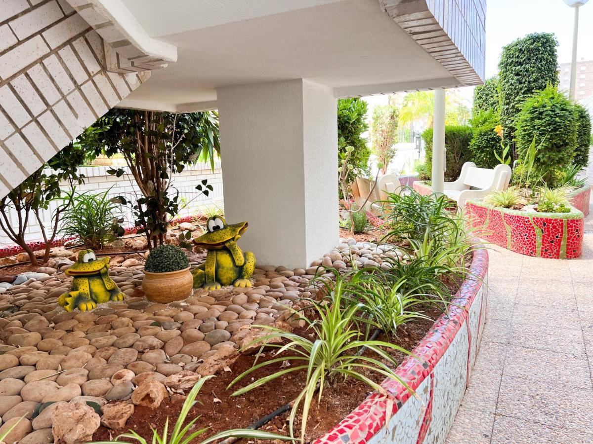 Apartamento Deluxe Jardin 奥罗佩萨德尔马 外观 照片